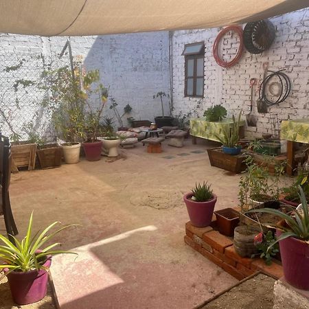 Home Sweet Home Guanajuato Dış mekan fotoğraf