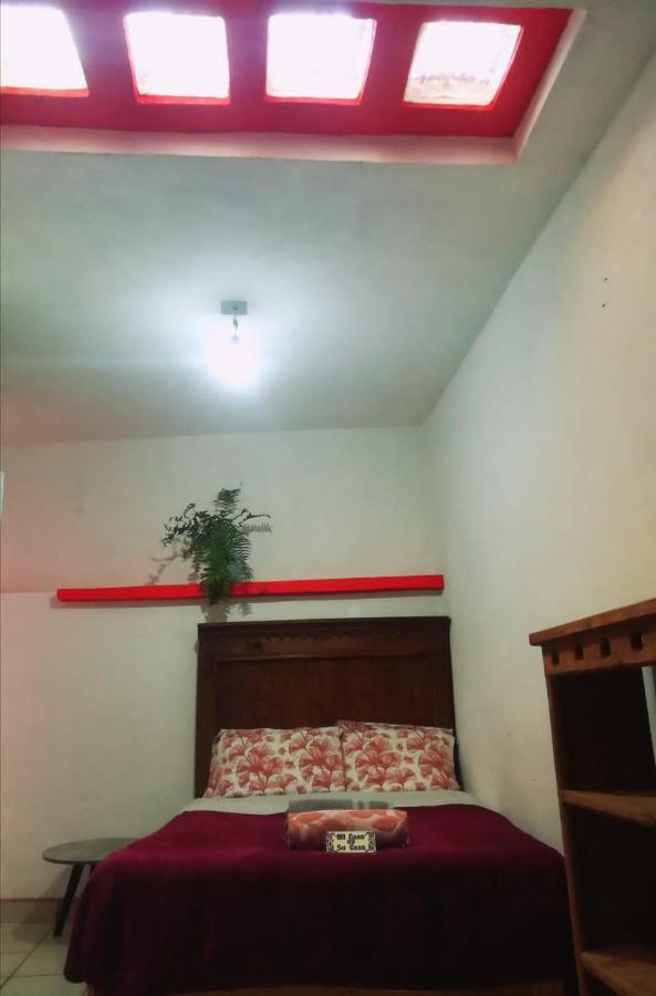Home Sweet Home Guanajuato Dış mekan fotoğraf
