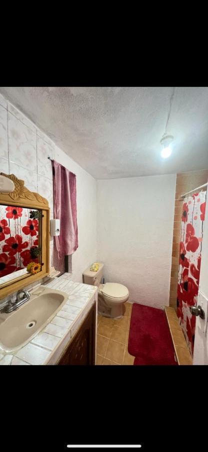 Home Sweet Home Guanajuato Dış mekan fotoğraf