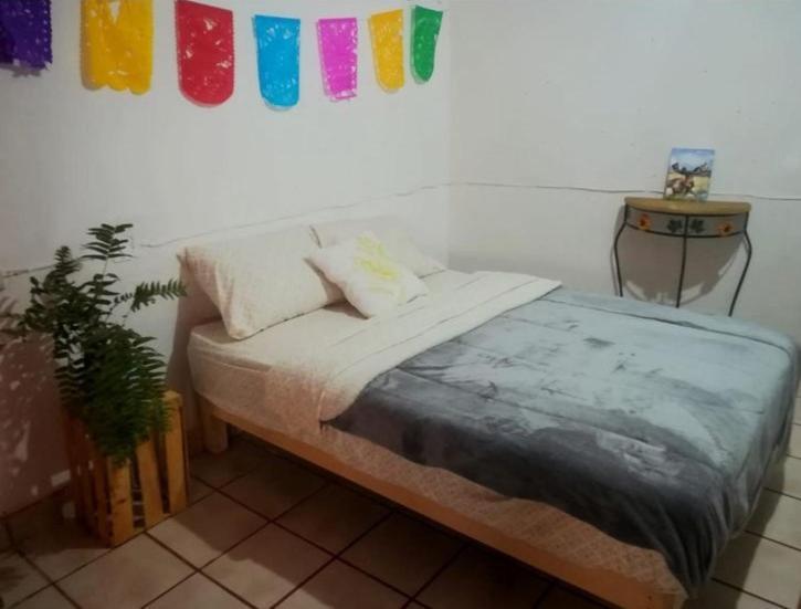 Home Sweet Home Guanajuato Dış mekan fotoğraf