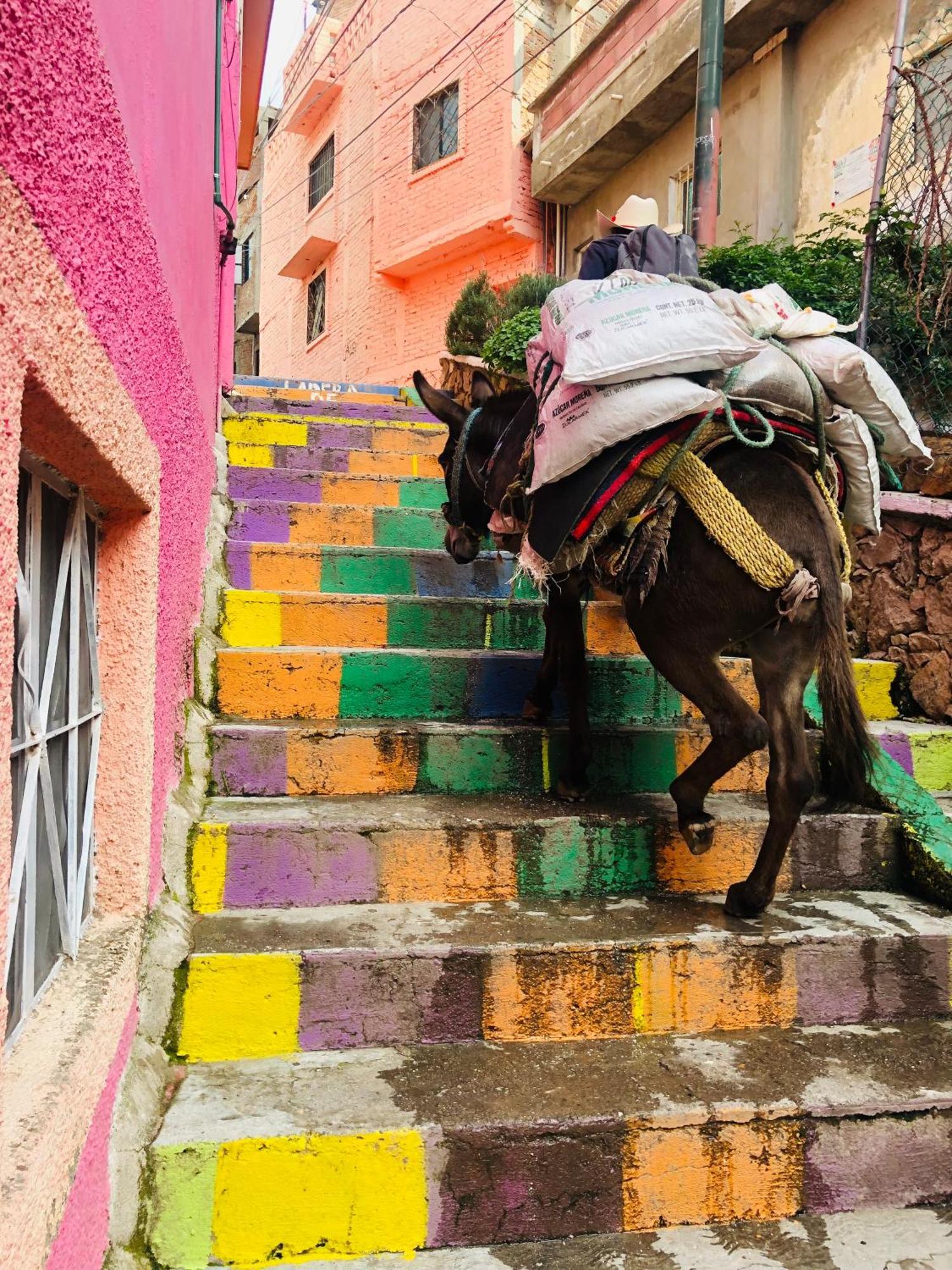 Home Sweet Home Guanajuato Dış mekan fotoğraf