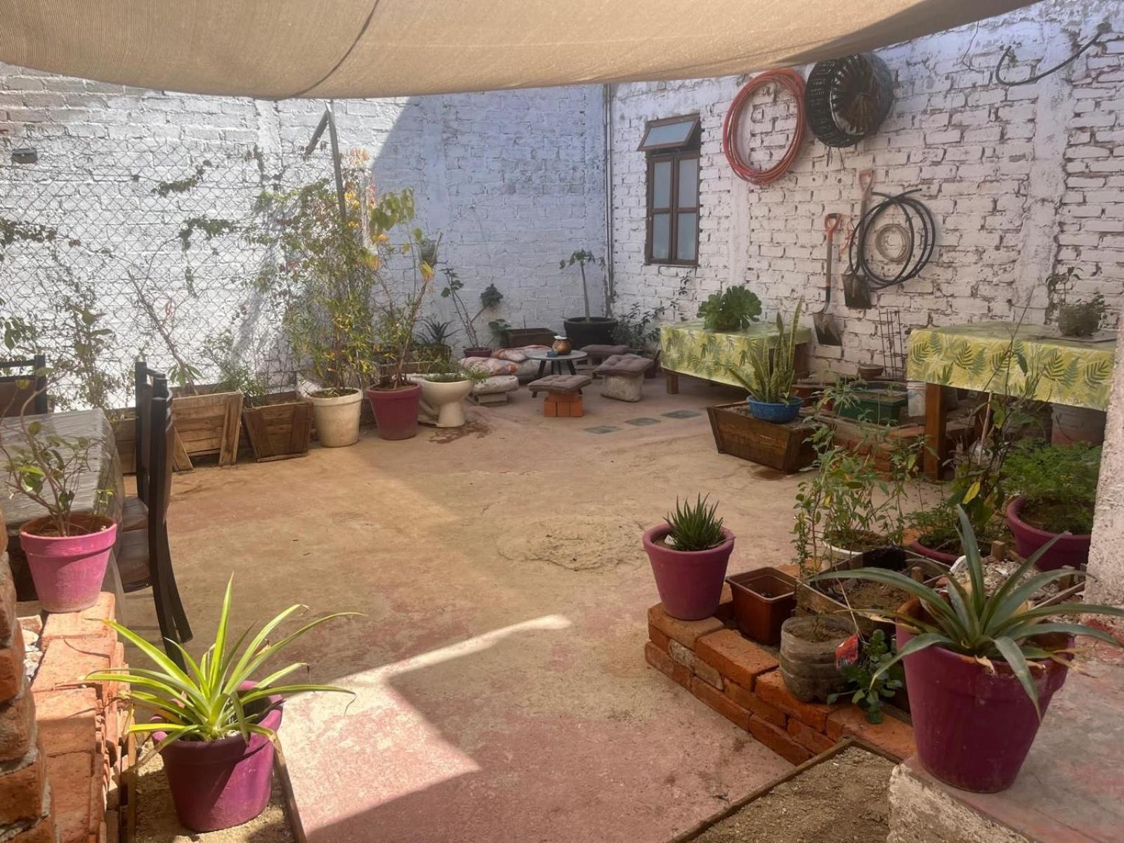 Home Sweet Home Guanajuato Dış mekan fotoğraf